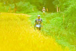 BIB: 
                            <button type="button" onclick="openModal(13455430)" class="btn btn-primary btn-sm float-right btn-popup" data-toggle="modal" data-target=".modal-high-quality">
                        <i class="fas fa-shopping-cart"></i> Add to Cart
                    </button>
                                            <button type="button" onclick="isThisMe(13455430, true)" class="btn btn-success btn-sm float-right btn-popup btn-isme hidden" data-toggle="tooltip" data-placement="bottom" title="นี่คือรูปของคุณใช่ไหม คลิกที่นี่เพื่อเอาเข้าอัลบั้ม">
                        <i class="fas fa-plus"></i> Add to album
                    </button>
                    <button type="button" onclick="isThisMe(13455430, false)" class="btn btn-warning btn-sm float-right btn-popup btn-isnotme hidden">
                        <i class="fas fa-ban"></i> Remove from album
                    </button>